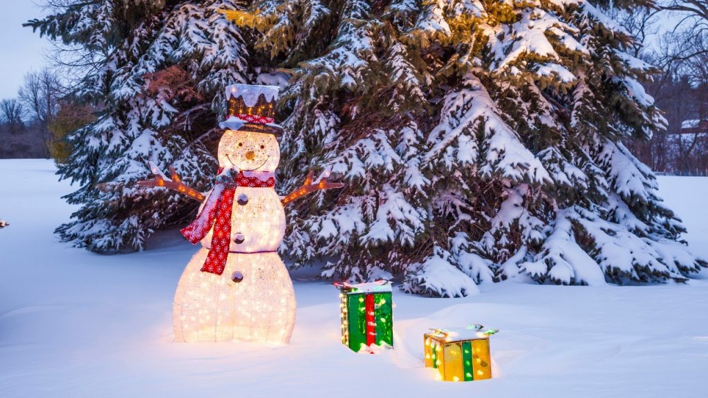 Gartentipp Dezember