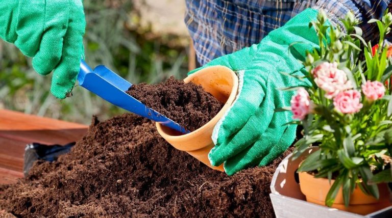 Die richtige Erde für Ihren Garten Lagerhaus Blog