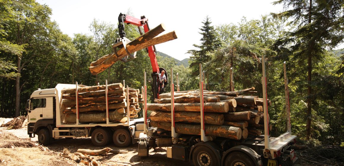 Vom Stock bis zur Säge