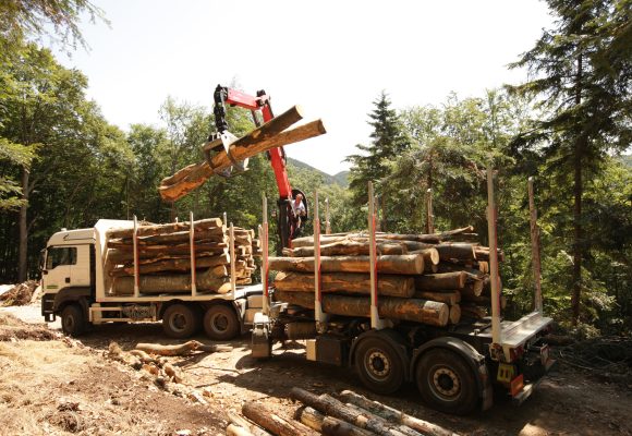Vom Stock bis zur Säge
