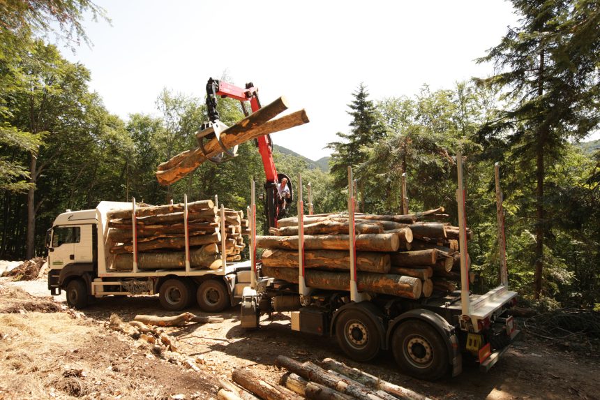 Vom Stock bis zur Säge